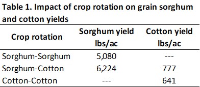 Sorghum_Cotton